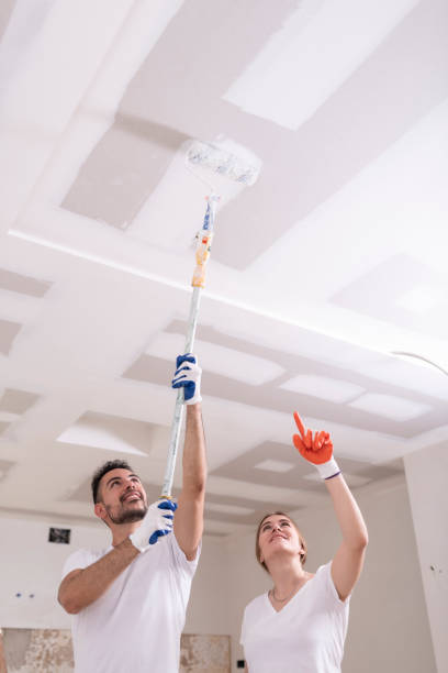 Best Industrial Mold Remediation  in Concord, AL