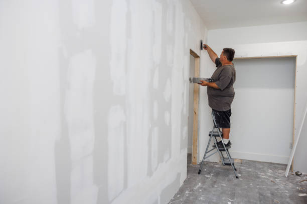 Best Mold Prevention Services  in Concord, AL