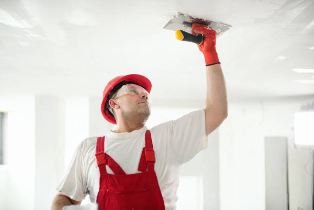 Forensic Mold Investigation in Concord, AL