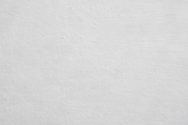 Best Basement Mold Removal  in Concord, AL