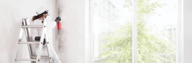 Best Dehumidification Services  in Concord, AL