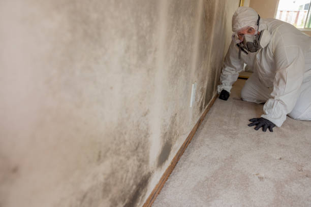 Best Dehumidification Services  in Concord, AL