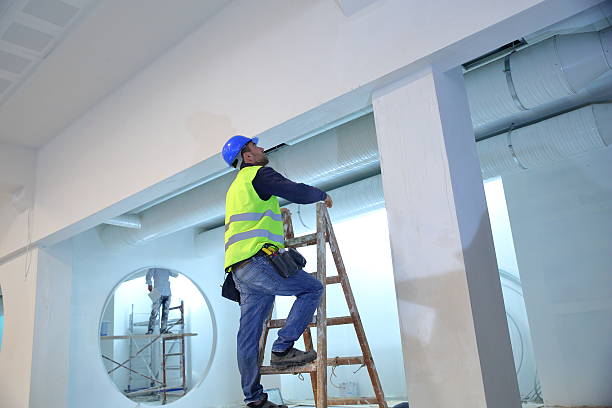 Best Mold Damage Restoration  in Concord, AL